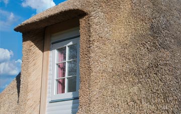 Skinburness thatch roof disadvantages