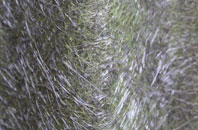 Skinburness fibreglass roof work